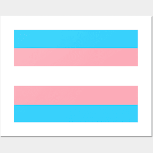 Trans flag Posters and Art